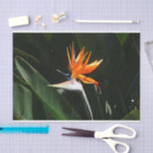 パラダイスオレンジトロピカルフラワーの鳥 薄葉紙 (クラフト)