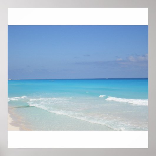 パラダイスカリブの ポスター (正面)