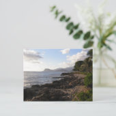 パラダイスコーブポストカード ポストカード (スタンド正面)