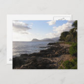 パラダイスコーブポストカード ポストカード (正面/裏面)