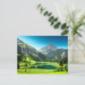 パラダイスコーブ ポストカード (スタンド正面)