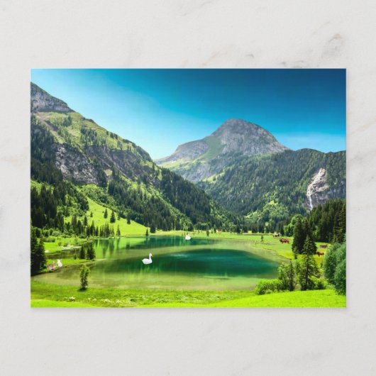 パラダイスコーブ ポストカード (正面)