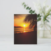 パラダイスサンセット ポストカード (スタンド正面)