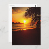 パラダイスサンセット ポストカード (正面/裏面)