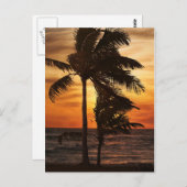 パラダイスシルエットのヤシ ポストカード (正面/裏面)