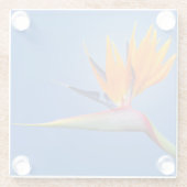 パラダイスストレリツィアフラワーの美しい鳥 ガラスコースター (裏面)