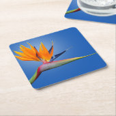 パラダイスストレリツィアフラワーの美しい鳥 スクエアペーパーコースター (アングル)