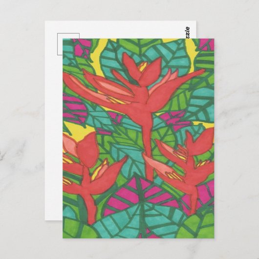 パラダイストロピカルジャングルの鳥 ポストカード (正面/裏面)