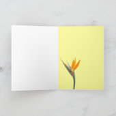 パラダイスノートカードの鳥 カード (内部)