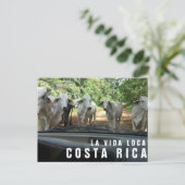 パラダイスバケーションフォトポストカードからのポストカード ポストカード (スタンド正面)