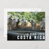 パラダイスバケーションフォトポストカードからのポストカード ポストカード (正面/裏面)