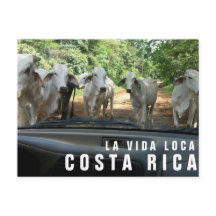 パラダイスバケーションフォトポストカードからのポストカード