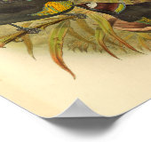 パラダイスバーズオブパラダイスヴィンテージプリント ポスター (角)