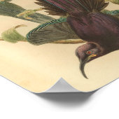 パラダイスバードパープルカラーヴィンテージプリント ポスター (角)