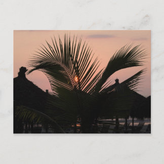 パラダイスビレッジ – プエルトバラルタメキシコ ポストカード