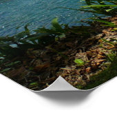 パラダイスビーチ – マウイ，ハワイ ポスター (角)