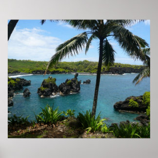 パラダイスビーチ – マウイ，ハワイ ポスター