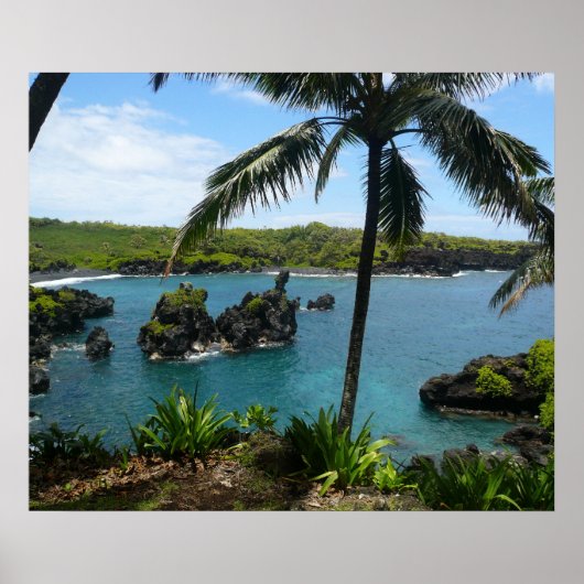 パラダイスビーチ – マウイ，ハワイ ポスター (正面)