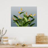 パラダイスファンタジー工場 ポスター (キッチン)