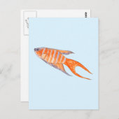 パラダイスフィッシュ、水彩画。 ポストカード (正面/裏面)