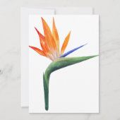 パラダイスフラワーのエキゾチックなトゲの鳥 招待状 (正面)