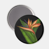 パラダイスフルマグネットの鳥 マグネット (正面/裏面)