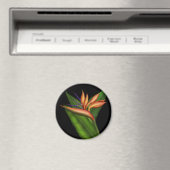 パラダイスフルマグネットの鳥 マグネット (インサイチュ (食洗機))