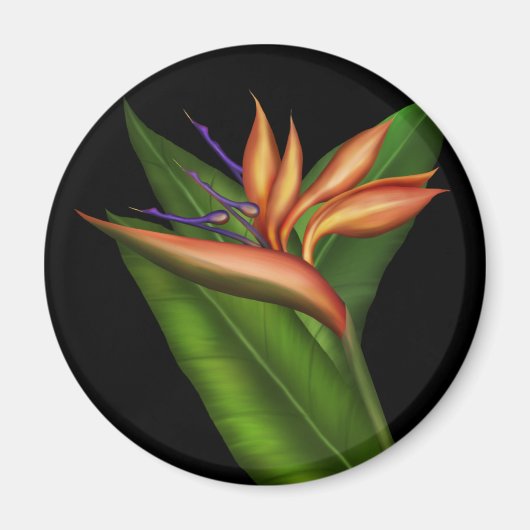 パラダイスフルマグネットの鳥 マグネット (正面)