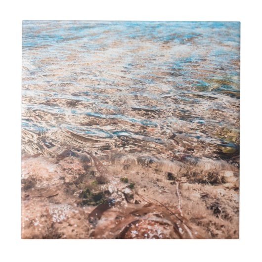 パラダイスブルー海シー タイル (正面)