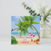 パラダイスホリデーカードからメリークリスマス シーズンカード (スタンド正面)