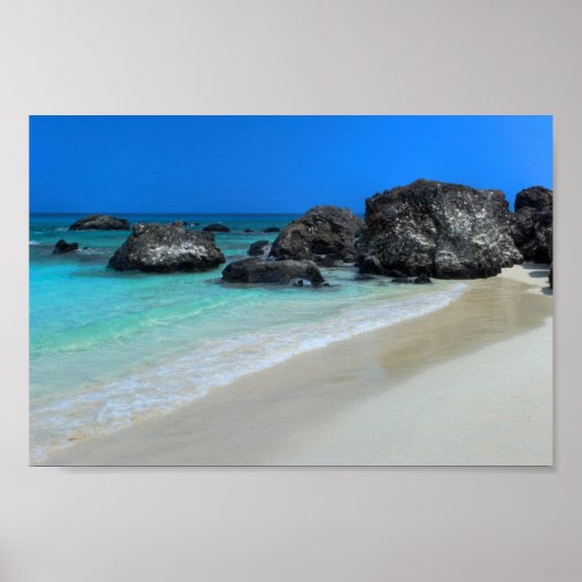 パラダイスポスター ポスター (正面)