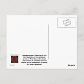 パラダイスポストカード ポストカード (裏面)