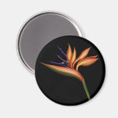 パラダイスマグネットの鳥 マグネット (正面/裏面)