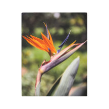 パラダイスメタルアートの鳥