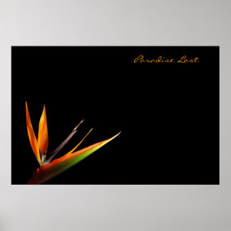 パラダイス失った ポスター