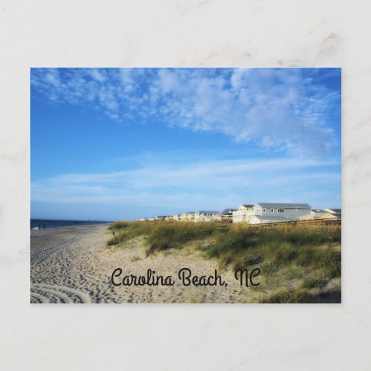 パラダイス横葉書で生きる ポストカード (正面)