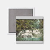 パラダイス秋，ポコノ山脈，ペンシルバニア州 マグネット (正面/裏面)