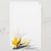 パラダイス空白の鳥の筆記用紙 便箋 (正面/裏面)