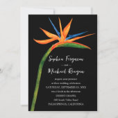 パラダイス結婚の鳥 招待状 (正面)