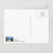 パラダイス考えへ歩くハガキ ポストカード (裏面)