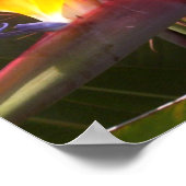 パラダイス1 ポスター (角)