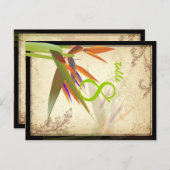 パラダイス/ダイスヴィンテージ/カラーのPixDezinesフォント ポストカード (正面/裏面)