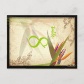 パラダイス/ダイスヴィンテージ/カラーのPixDezinesフォント ポストカード (裏面)