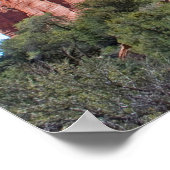 パラチー赤い岩3288 ポスター (角)