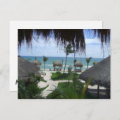 パラパスオンザビーチ ポストカード (正面/裏面)