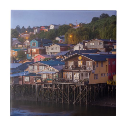 パラフィトスティルトの家、高い景色 タイル (正面)