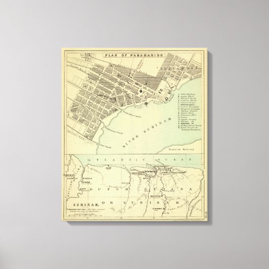 パラマリボスリナム キャンバスプリント (正面)