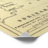 パラマリボスリナム ポスター (角)