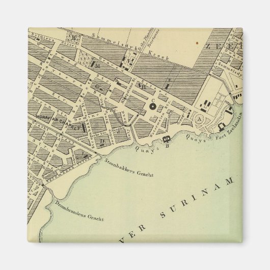 パラマリボスリナム マグネット (正面)