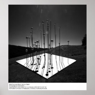 – パラメー数々のタモデル、ヘイスティングス、Ansel Adams ポスター